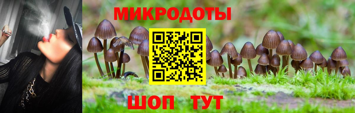 Гудермес  Псилоцибиновые грибы Psilocybine cubensis  Галлюциногенные грибы прущие грибы  дарнет шоп  Вход с VPN 