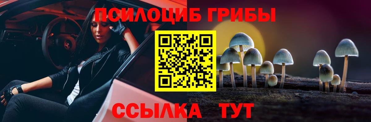 Псилоцибиновые грибы ЛСД Гудермес