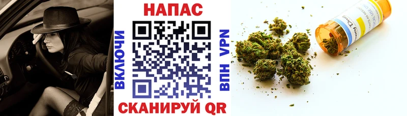 Бошки Шишки семена Гудермес